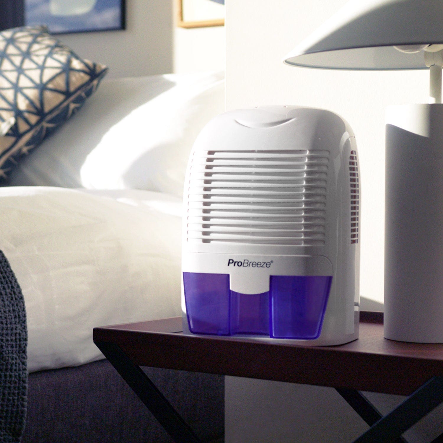 2200 Cubic Feet (250 sq. ft), Compact and Portable Mini Dehumidifier for Home